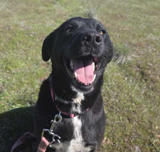 Photo of Darla