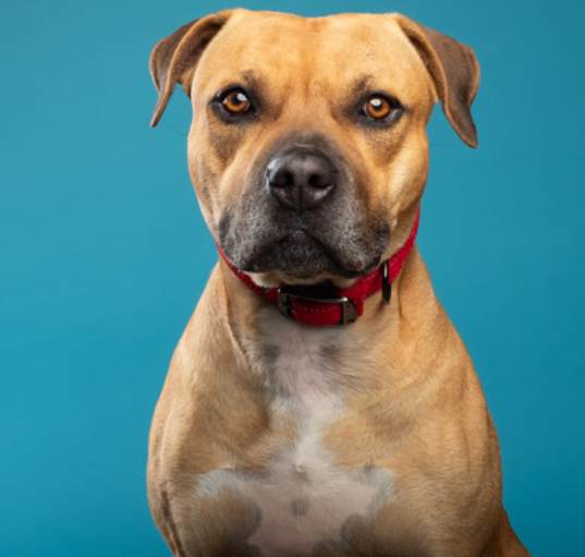 Photo of Maximus