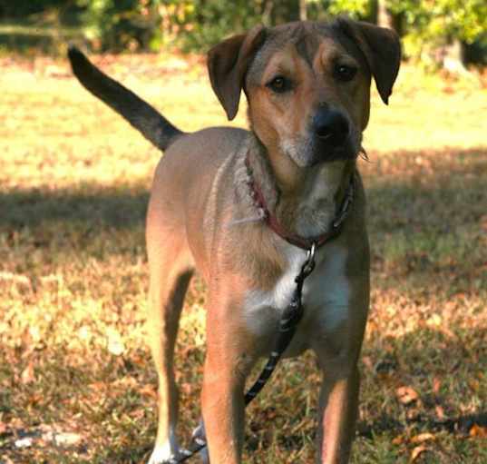 Photo of Nora