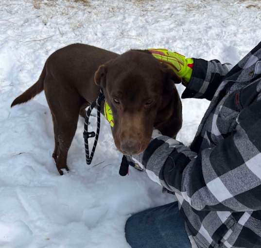 Photo of Buddy