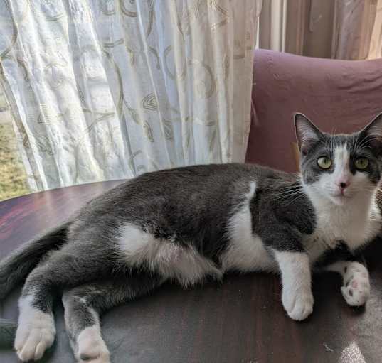 Photo of Ruby