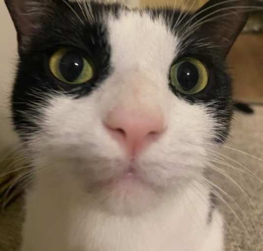 Photo of Drizzle
