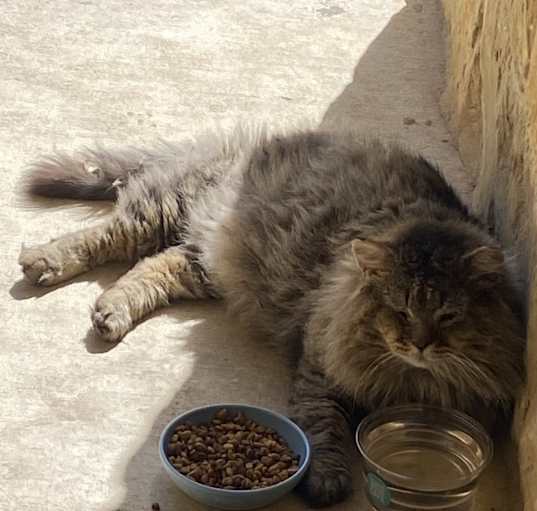Photo of Billy Bob