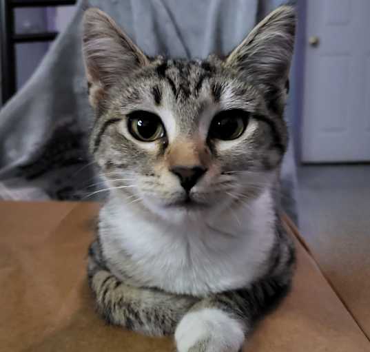 Photo of Nadia