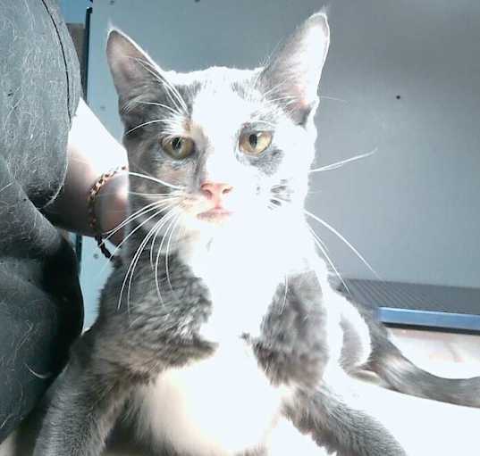 Photo of Fallon