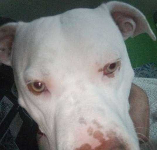 Photo of Keno