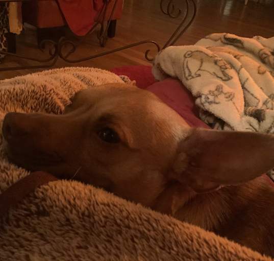 Photo of Chiquita