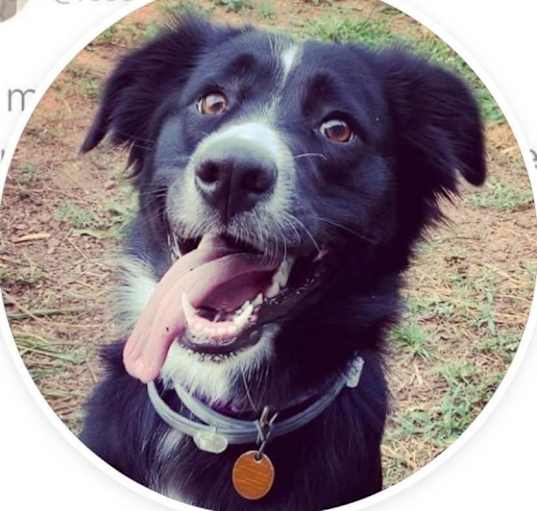 Photo of Charley