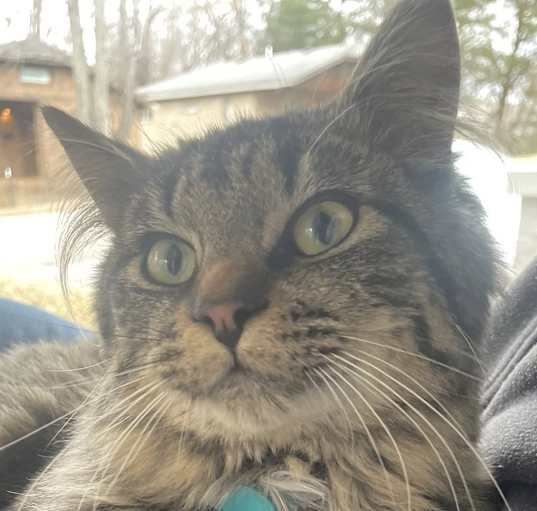 Photo of Marvin