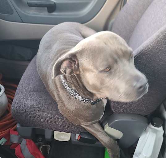 Photo of Bama