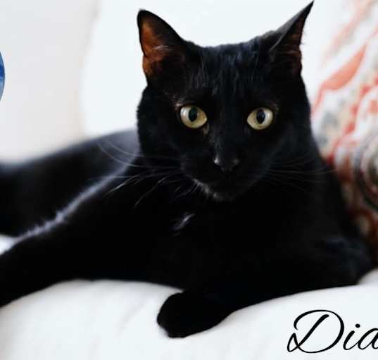 Photo of Diamond