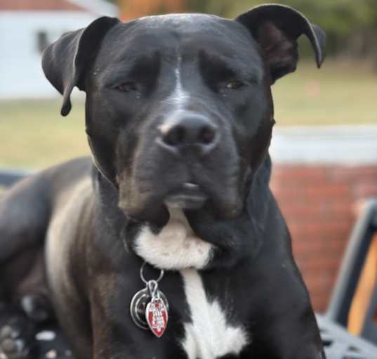 Photo of Jack