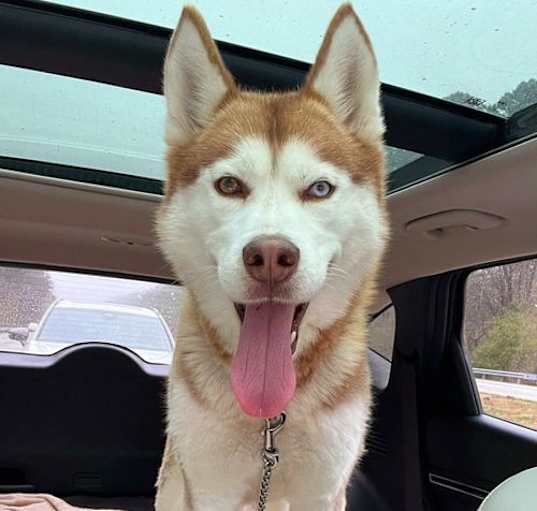Photo of Annie