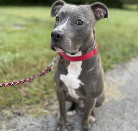 Photo of Smokey