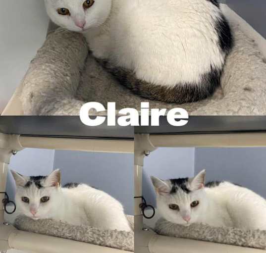 Photo of Claire