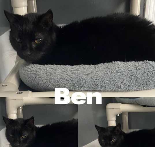 Photo of Ben