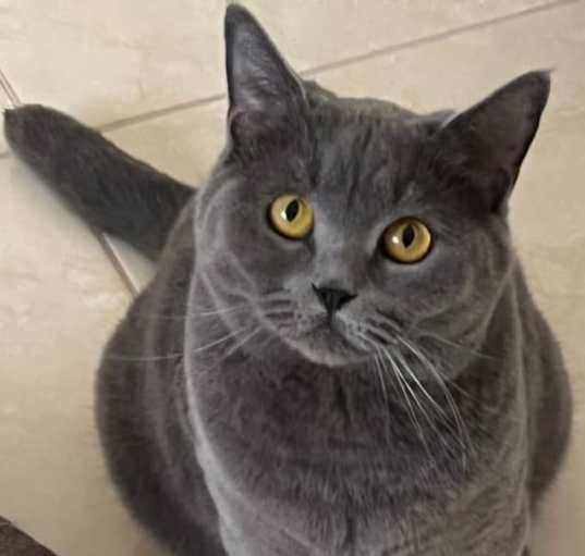 Photo of Betty