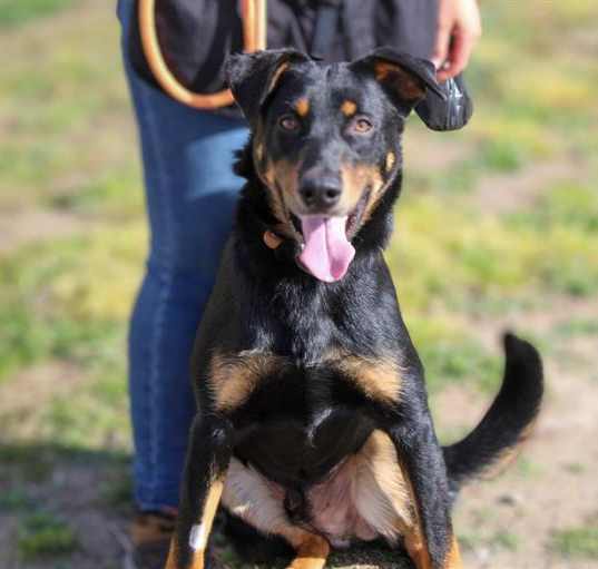 Photo of ODY