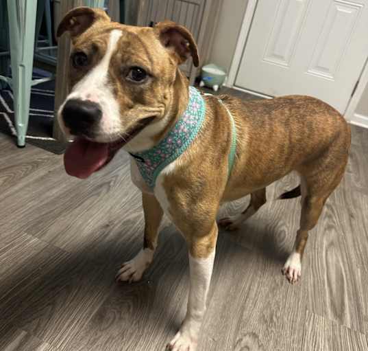 Photo of Lola