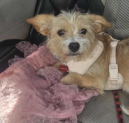 Photo of Mia