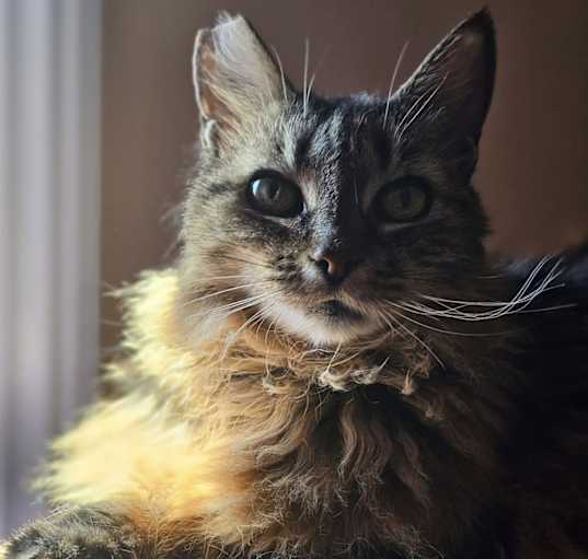 Photo of Winnie