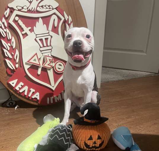 Photo of DJ