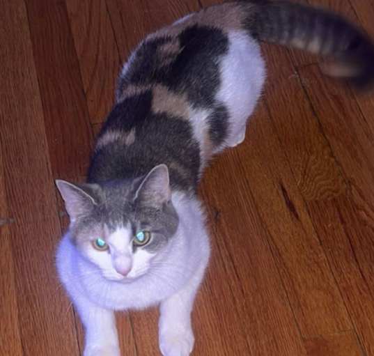 Photo of Swirl