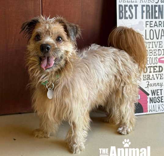 Photo of Bert