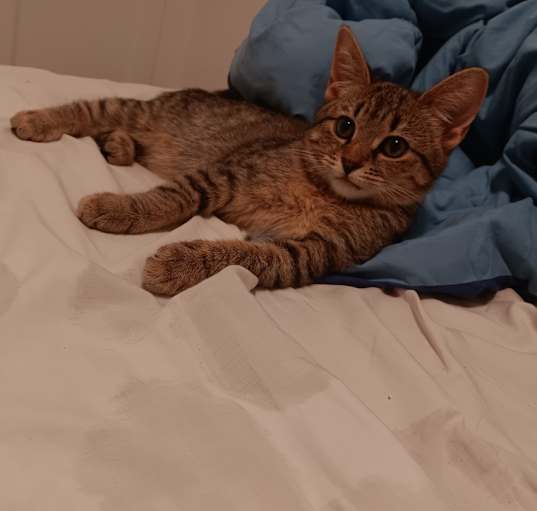 Photo of Lizzy