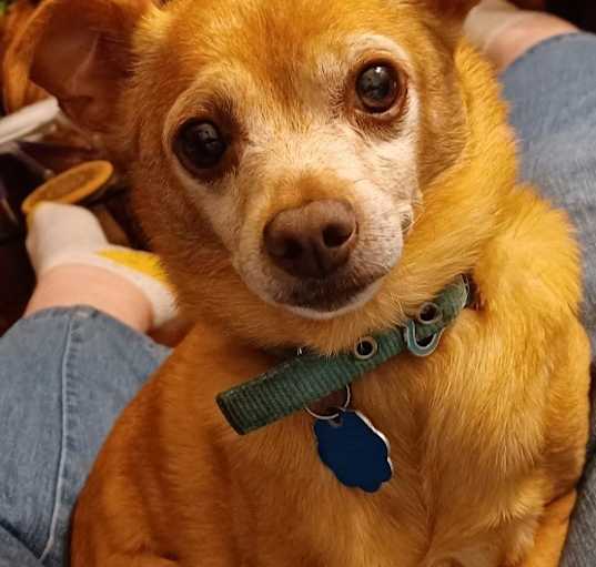 Photo of Jax