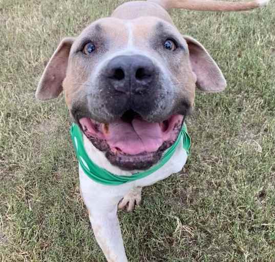 Photo of Pixel