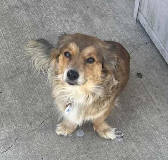 Photo of Bailey Blue