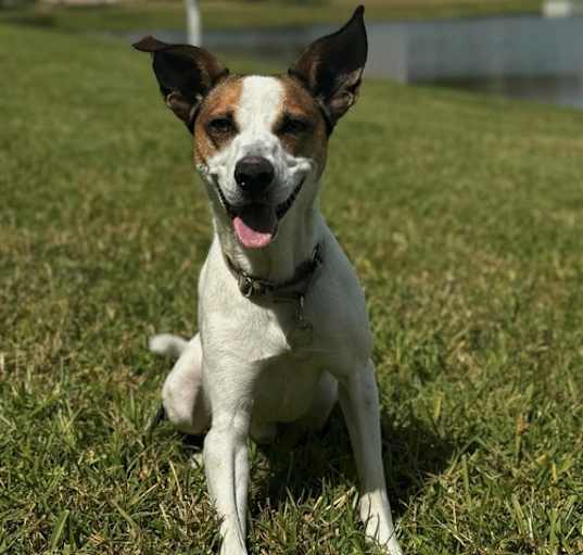 Photo of Watson
