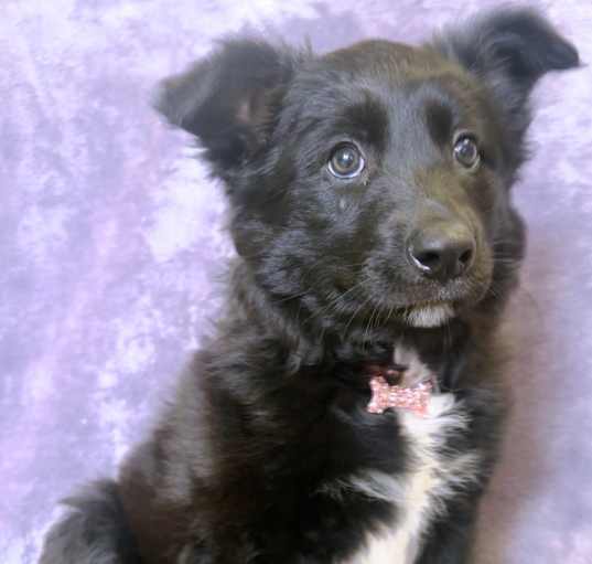 Photo of Polly