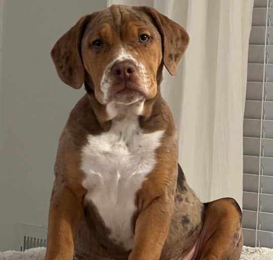 Photo of Mabel