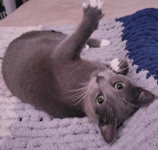 Photo of Eloise