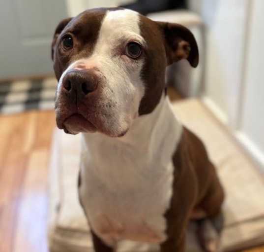 Photo of Gertie