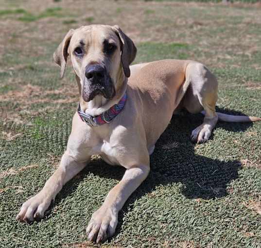 Photo of Marcie