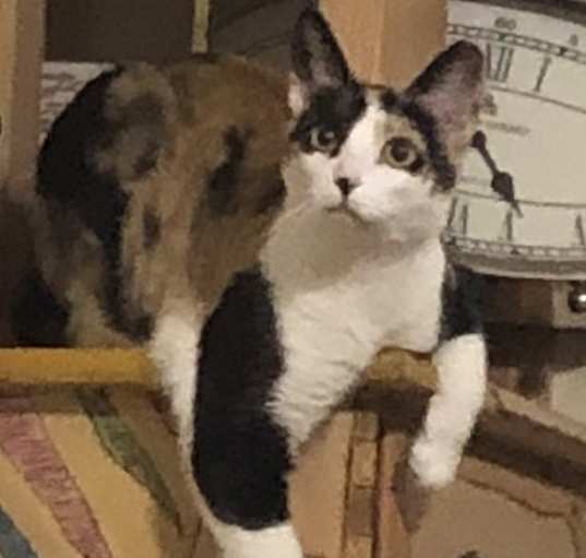 Photo of Kathy