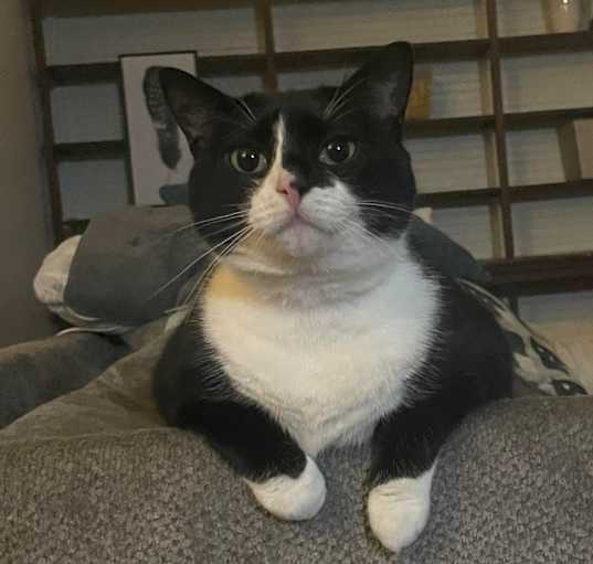Photo of Sasha