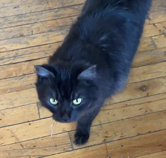 Photo of Merlot