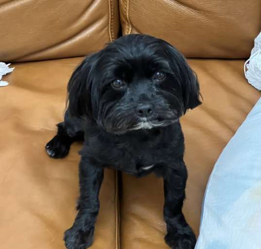 Photo of Jager