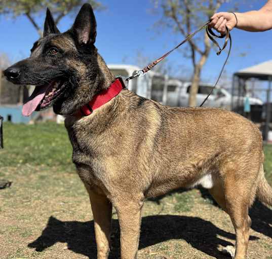 Photo of Concho