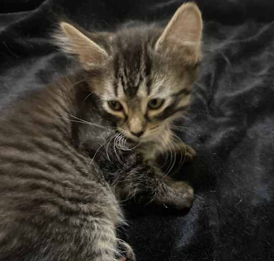 Photo of No name