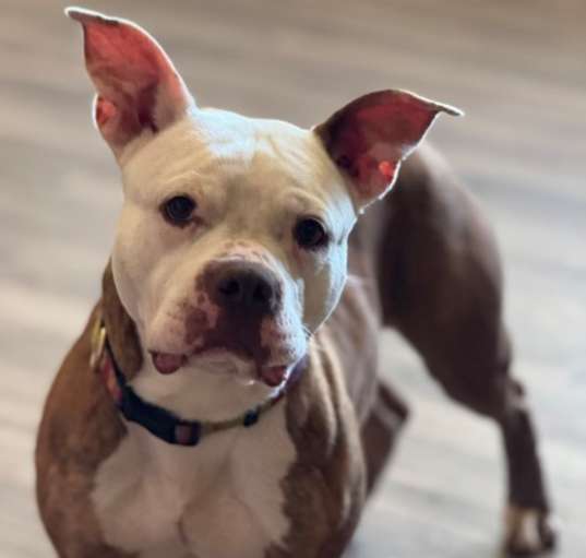 Photo of Nipsey