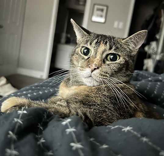 Photo of Mika
