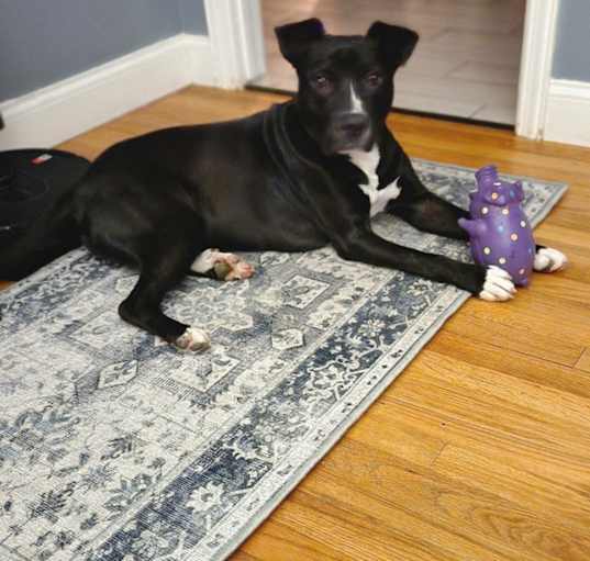 Photo of Max