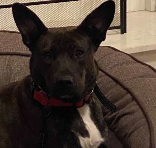 Photo of Ella