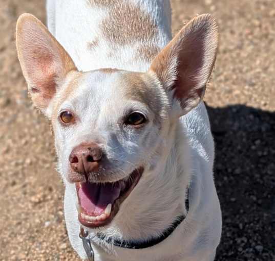 Photo of Zeus
