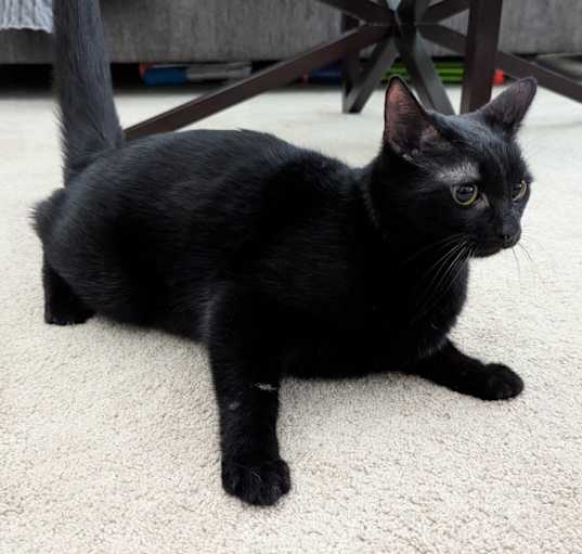 Photo of Fury